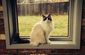 分析实测“一起宁德麻将钓蟹有挂嘛!分享用挂教程