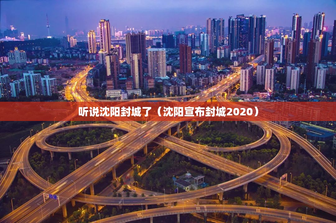 听说沈阳封城了（沈阳宣布封城2020）