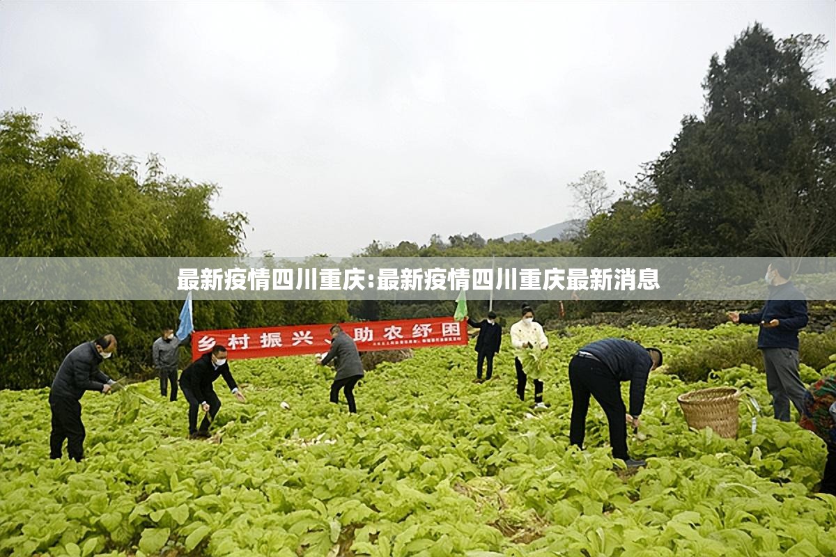 最新疫情四川重庆:最新疫情四川重庆最新消息