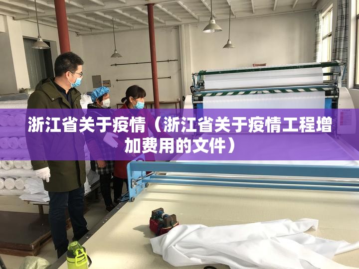 浙江省关于疫情（浙江省关于疫情工程增加费用的文件）