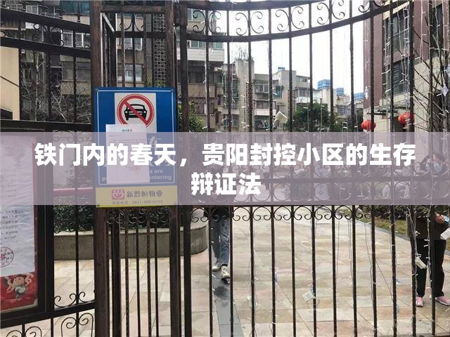 铁门内的春天，贵阳封控小区的生存辩证法