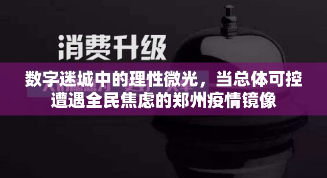 数字迷城中的理性微光，当总体可控遭遇全民焦虑的郑州疫情镜像