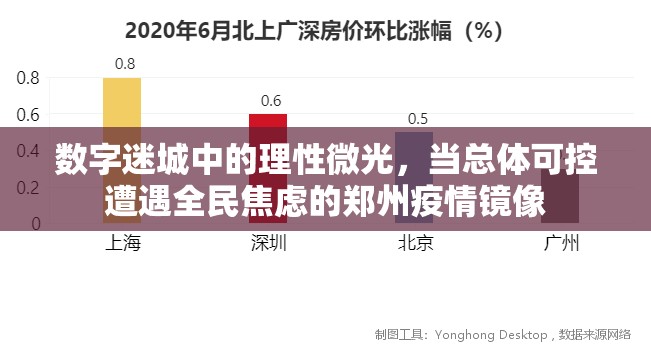 数字迷城中的理性微光，当总体可控遭遇全民焦虑的郑州疫情镜像