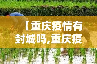 【重庆疫情有封城吗,重庆疫情有封城吗现在】