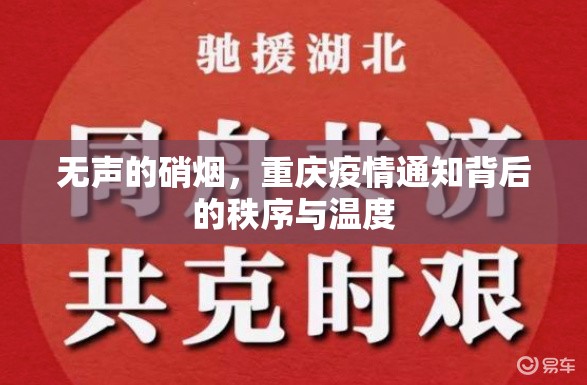 无声的硝烟，重庆疫情通知背后的秩序与温度