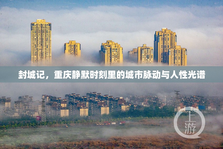 封城记，重庆静默时刻里的城市脉动与人性光谱