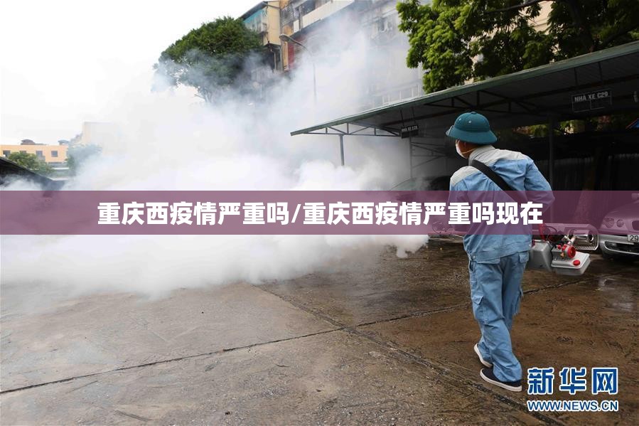 重庆西疫情严重吗/重庆西疫情严重吗现在