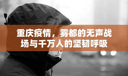 重庆疫情，雾都的无声战场与千万人的坚韧呼吸
