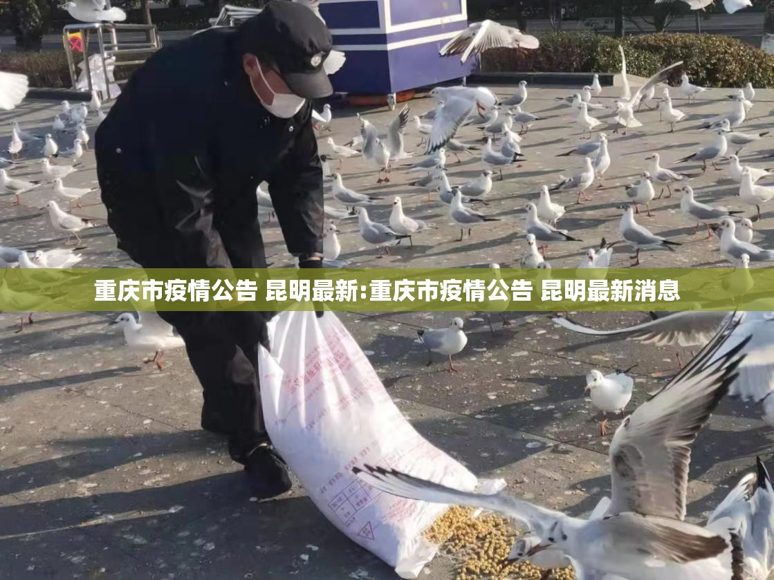 重庆市疫情公告 昆明最新:重庆市疫情公告 昆明最新消息