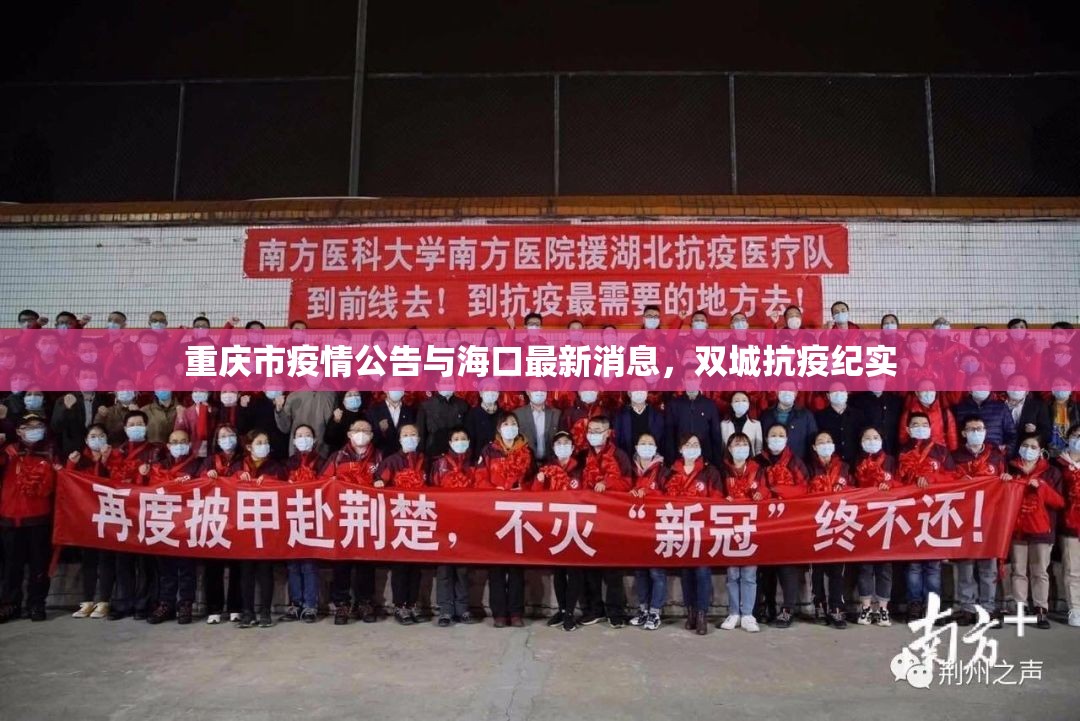 重庆市疫情公告与海口最新消息，双城抗疫纪实