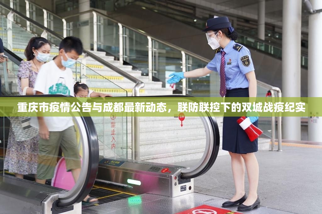重庆市疫情公告与成都最新动态，联防联控下的双城战疫纪实