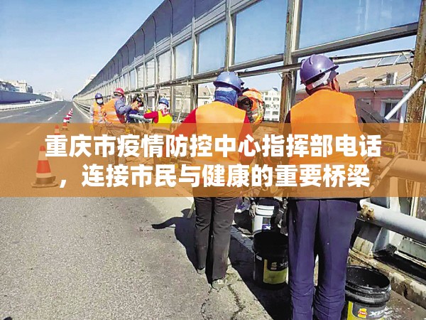 重庆市疫情防控中心指挥部电话，连接市民与健康的重要桥梁
