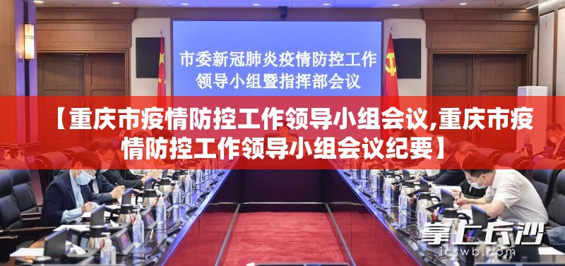 【重庆市疫情防控工作领导小组会议,重庆市疫情防控工作领导小组会议纪要】