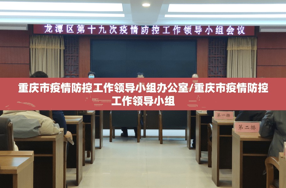 重庆市疫情防控工作领导小组办公室/重庆市疫情防控工作领导小组
