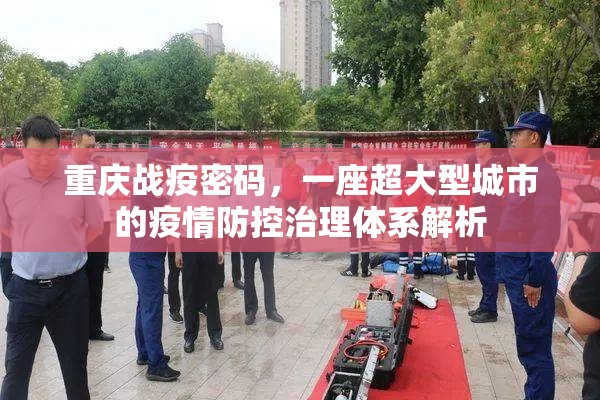 重庆战疫密码，一座超大型城市的疫情防控治理体系解析
