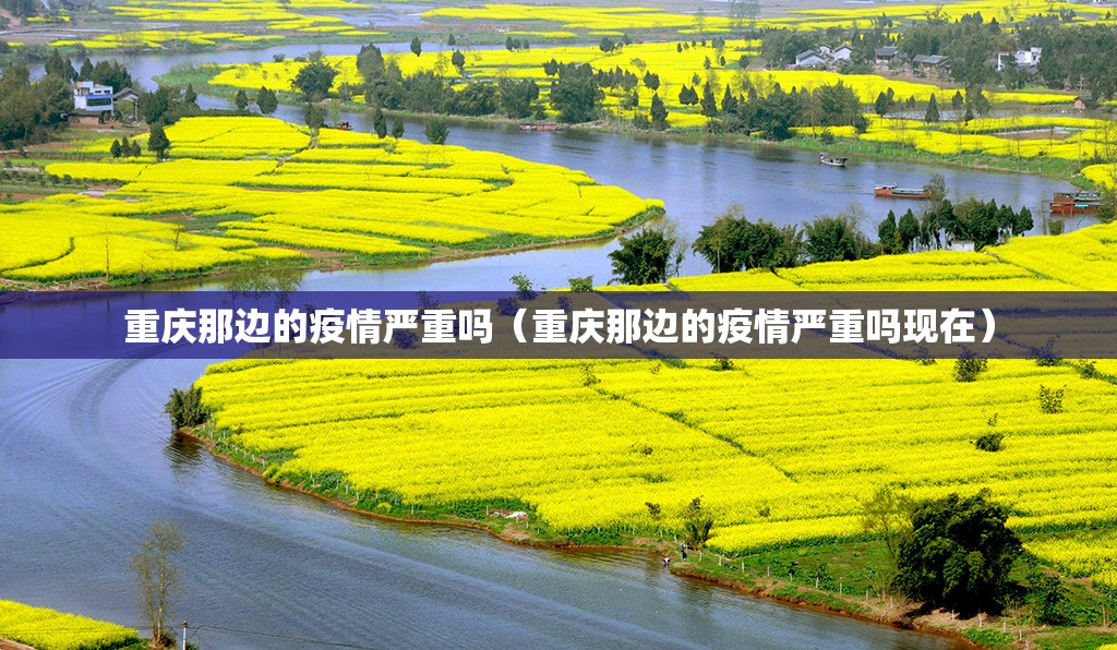 重庆那边的疫情严重吗（重庆那边的疫情严重吗现在）