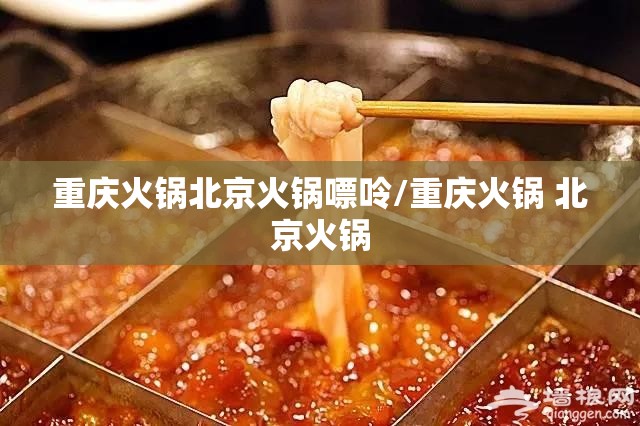 重庆火锅北京火锅嘌呤/重庆火锅 北京火锅