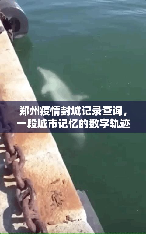 郑州疫情封城记录查询，一段城市记忆的数字轨迹