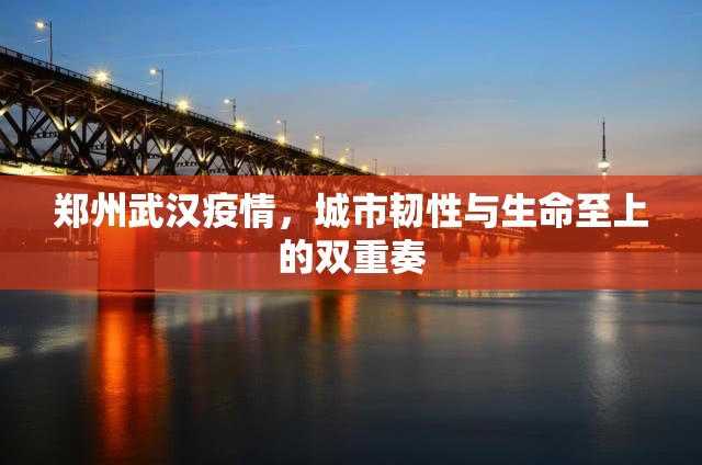 郑州武汉疫情，城市韧性与生命至上的双重奏