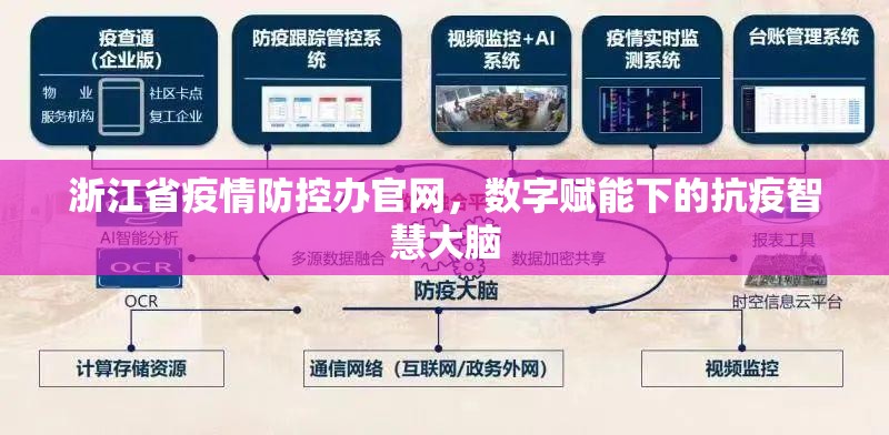 浙江省疫情防控办官网，数字赋能下的抗疫智慧大脑