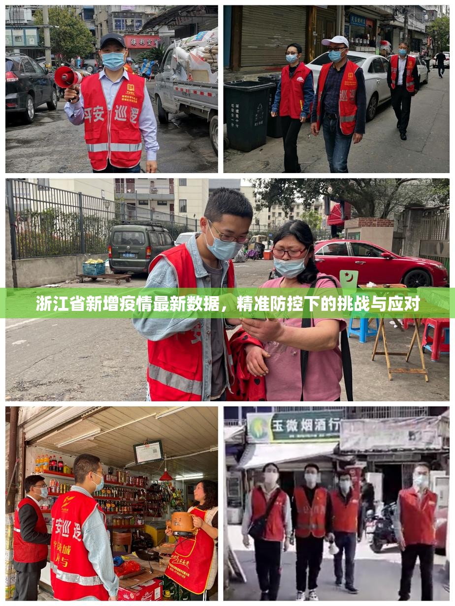 浙江省新增疫情最新数据，精准防控下的挑战与应对