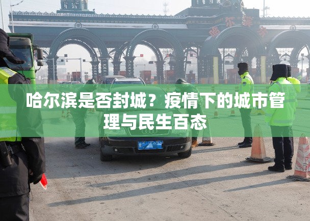 哈尔滨是否封城？疫情下的城市管理与民生百态