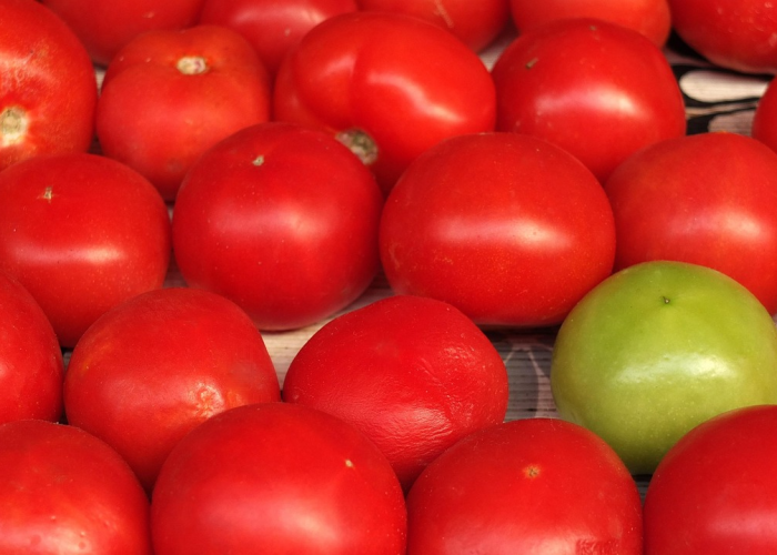 实测辅助“微乐江苏麻将开挂版本软件的亮点”详细开挂玩法 实测辅助“微乐江苏麻将开挂版本软件的亮点”详细开挂玩法