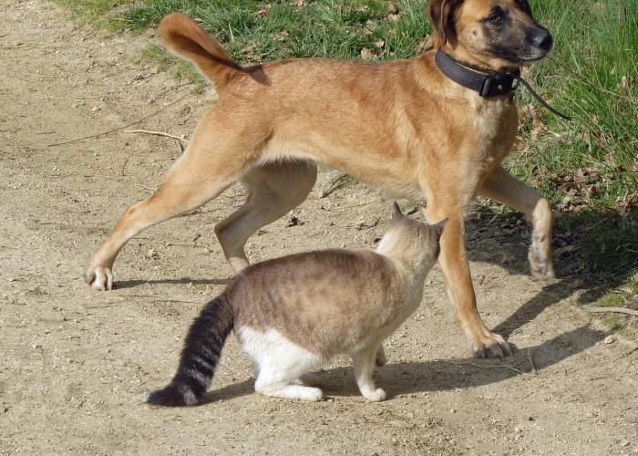 玩家秒懂“松原长岭麻将开挂群微信”详细开挂玩法 玩家秒懂“松原长岭麻将开挂群微信”详细开挂玩法