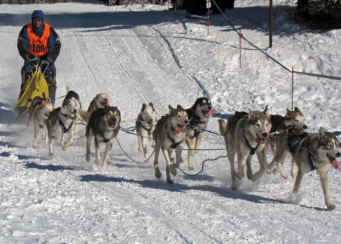 分析实测“哪里买九九麻将有挂”开挂(透视)辅助教程