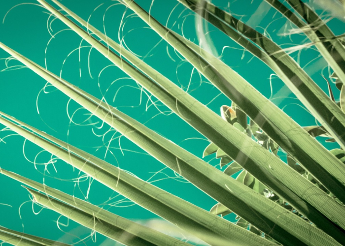 分析实测“胡乐麻将开挂神器下载安装”(详细开挂教程) 分析实测“胡乐麻将开挂神器下载安装”(详细开挂教程)