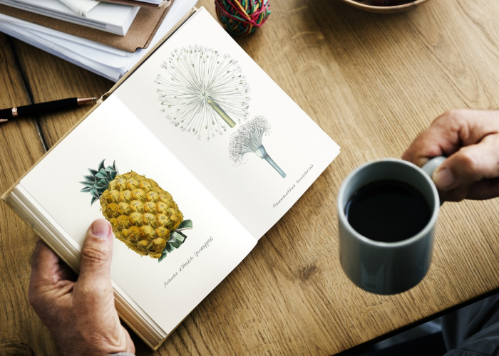 推荐一款”中至麻将有挂开吗＂!专业师傅带你一起了解