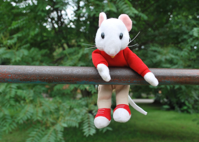 玩家秒懂“麻将开挂怎么安装的”(曝光透视必备猫腻)