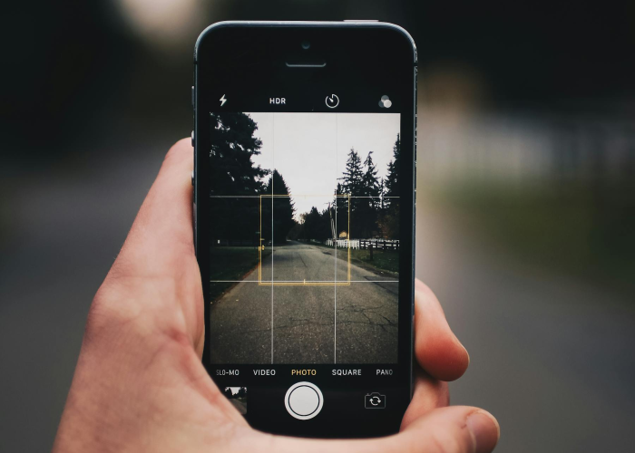 玩家秒懂“佛手十三道外挂怎么开”(详细开挂教程) 玩家秒懂“佛手十三道外挂怎么开”(详细开挂教程)