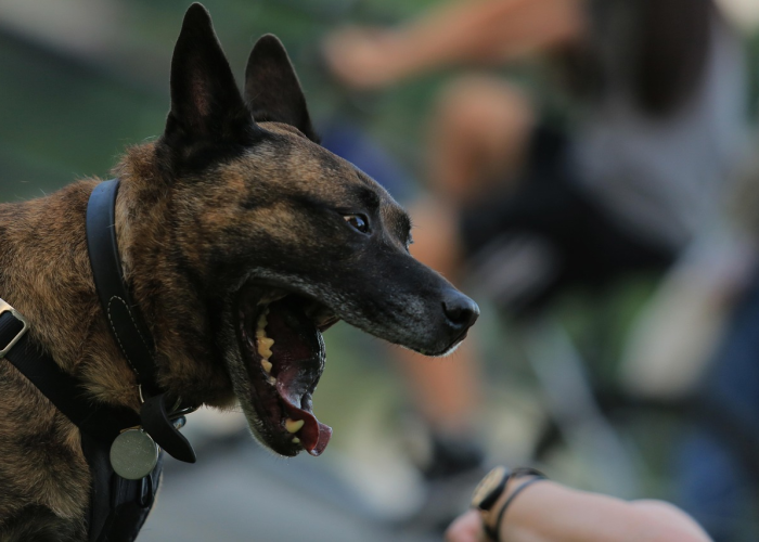 玩家秒懂“悠乐汇麻将有挂么!详细分享装挂步骤 玩家秒懂“悠乐汇麻将有挂么!详细分享装挂步骤