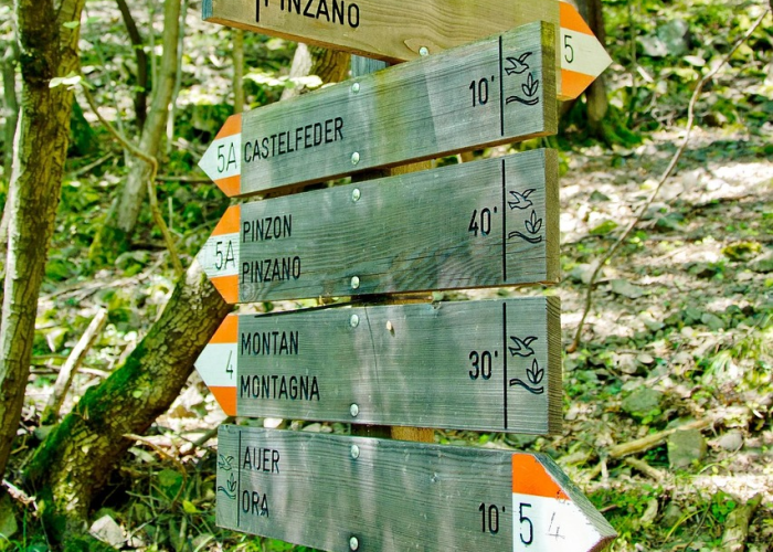 教程辅助!“微乐云南麻将春天扑克有挂吗”最新辅助详细教程