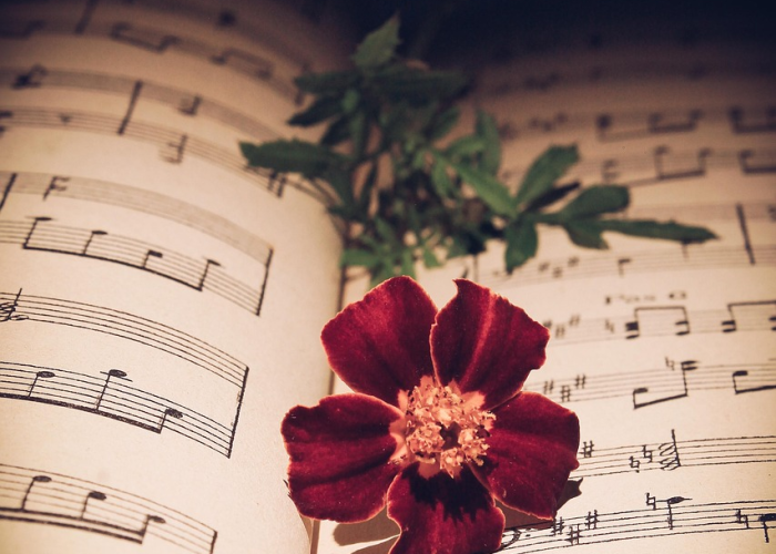 推荐一款”微乐捉鸡麻将免费开挂手机版”(曝光透视必备猫腻) 推荐一款”微乐捉鸡麻将免费开挂手机版”(曝光透视必备猫腻)