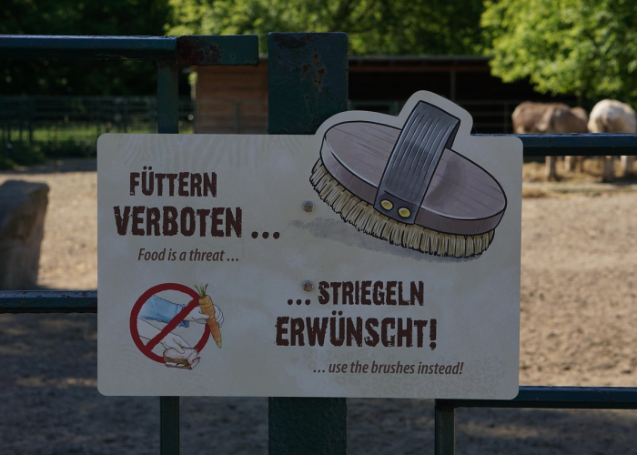 教程辅助!“微乐江西麻将能开挂吗”(曝光透视必备猫腻) 教程辅助!“微乐江西麻将能开挂吗”(曝光透视必备猫腻)